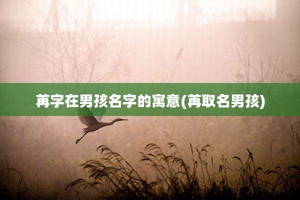 苒字在男孩名字的寓意(苒取名男孩)