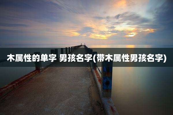 木属性的单字 男孩名字(带木属性男孩名字)