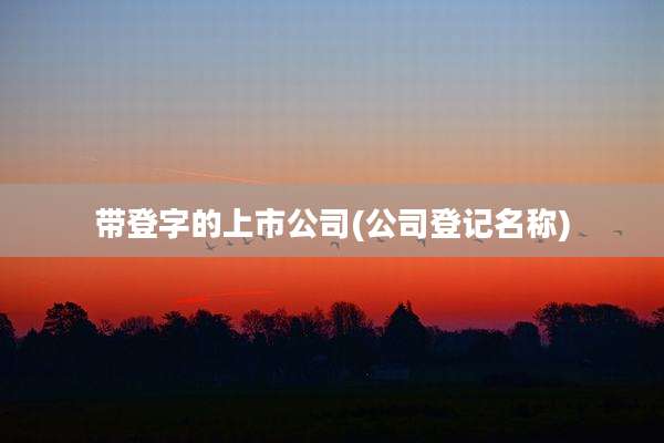 带登字的上市公司(公司登记名称)