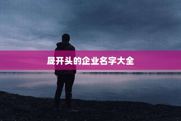 晟开头的企业名字大全