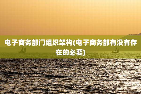 电子商务部门组织架构(电子商务部有没有存在的必要)