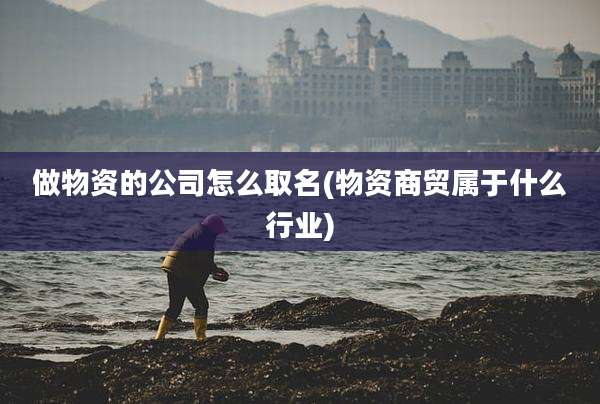 做物资的公司怎么取名(物资商贸属于什么行业)