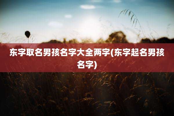 东字取名男孩名字大全两字(东字起名男孩名字)