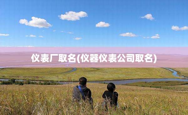 仪表厂取名(仪器仪表公司取名)