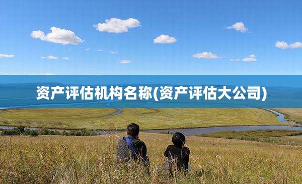 资产评估机构名称(资产评估大公司)
