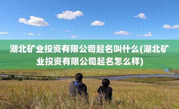 湖北矿业投资有限公司起名叫什么(湖北矿业投资有限公司起名怎么样)