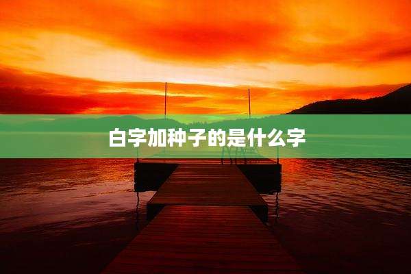 白字加种子的是什么字