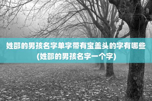 姓邵的男孩名字单字带有宝盖头的字有哪些(姓邵的男孩名字一个字)