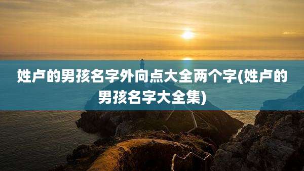 姓卢的男孩名字外向点大全两个字(姓卢的男孩名字大全集)