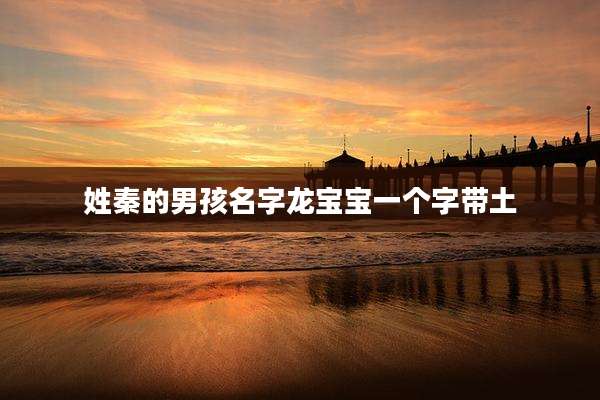 姓秦的男孩名字龙宝宝一个字带土