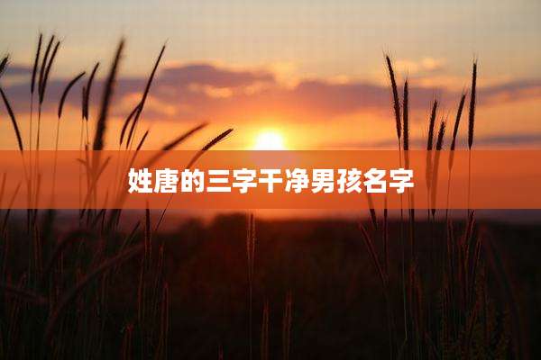 姓唐的三字干净男孩名字
