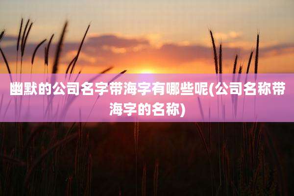 幽默的公司名字带海字有哪些呢(公司名称带海字的名称)