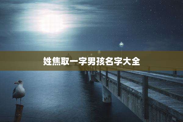 姓焦取一字男孩名字大全