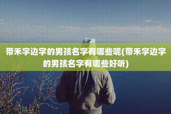 带禾字边字的男孩名字有哪些呢(带禾字边字的男孩名字有哪些好听)