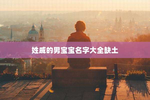 姓戚的男宝宝名字大全缺土