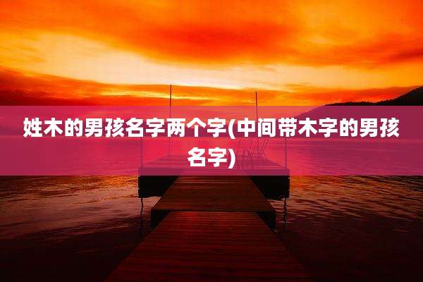 姓木的男孩名字两个字(中间带木字的男孩名字)