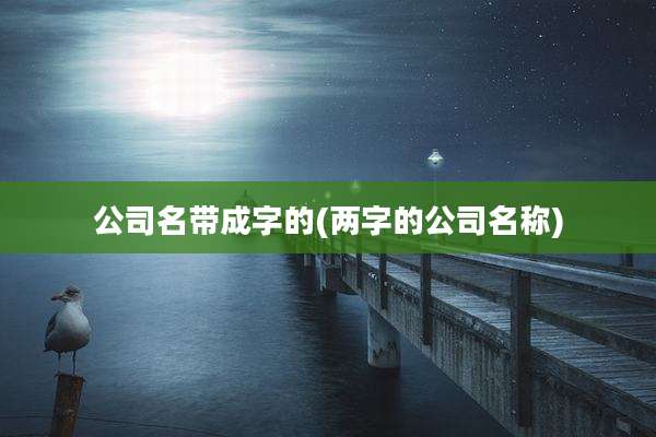 公司名带成字的(两字的公司名称)