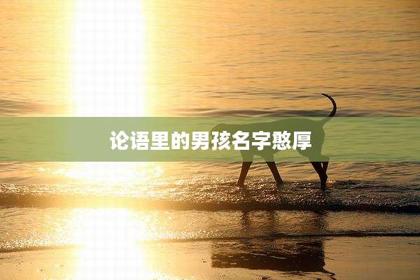 论语里的男孩名字憨厚