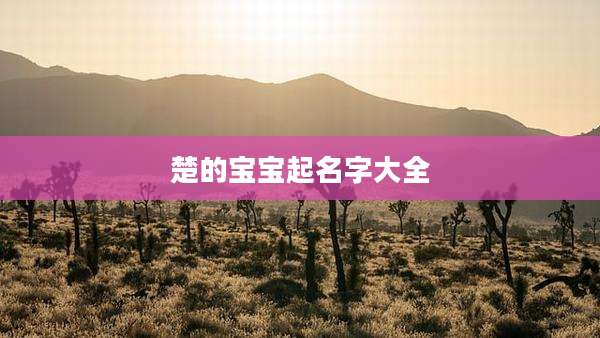 楚的宝宝起名字大全
