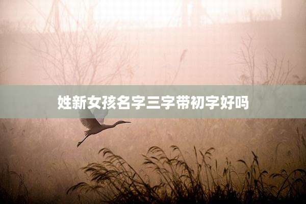 姓新女孩名字三字带初字好吗