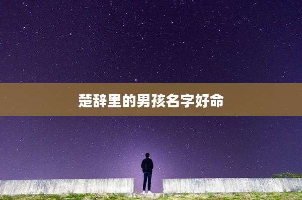 楚辞里的男孩名字好命