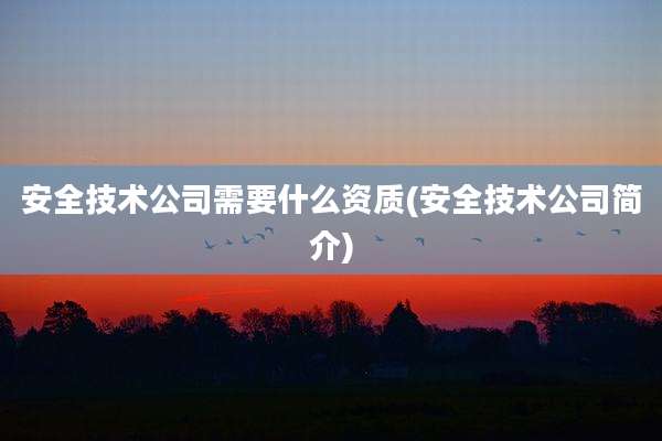 安全技术公司需要什么资质(安全技术公司简介)