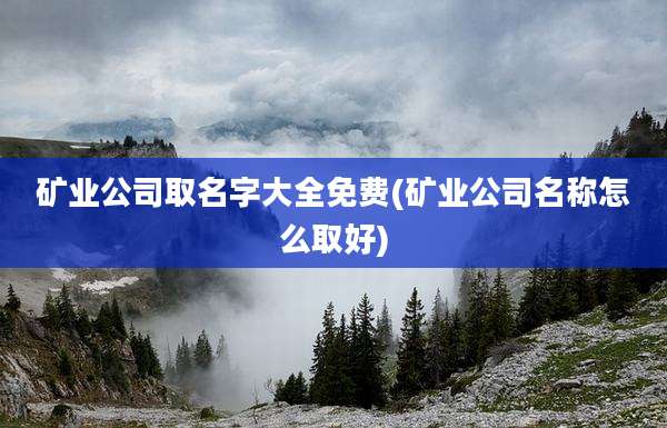 矿业公司取名字大全免费(矿业公司名称怎么取好)