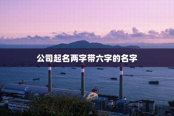 公司起名两字带六字的名字