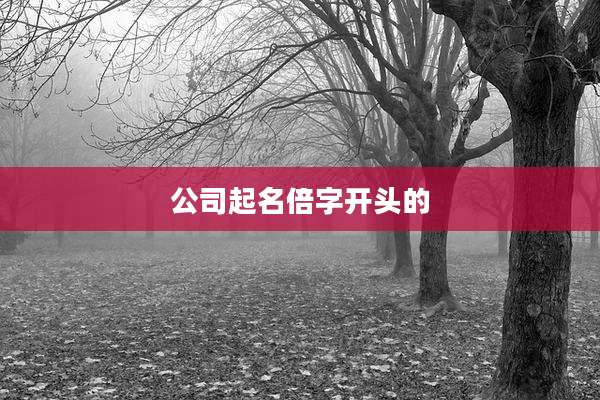 公司起名倍字开头的