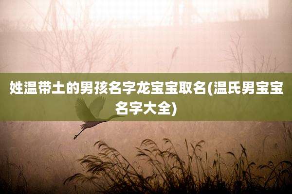 姓温带土的男孩名字龙宝宝取名(温氏男宝宝名字大全)