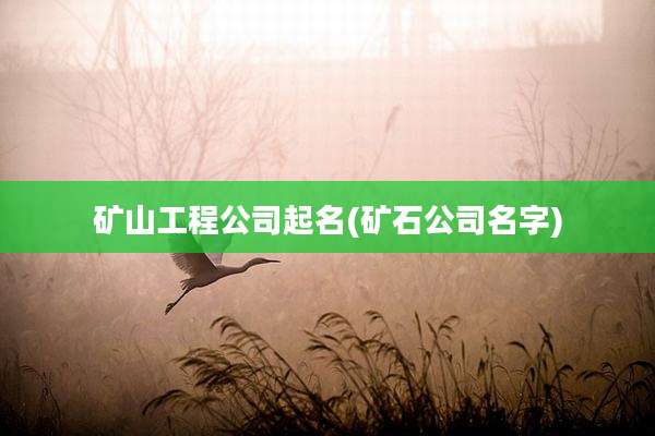 矿山工程公司起名(矿石公司名字)
