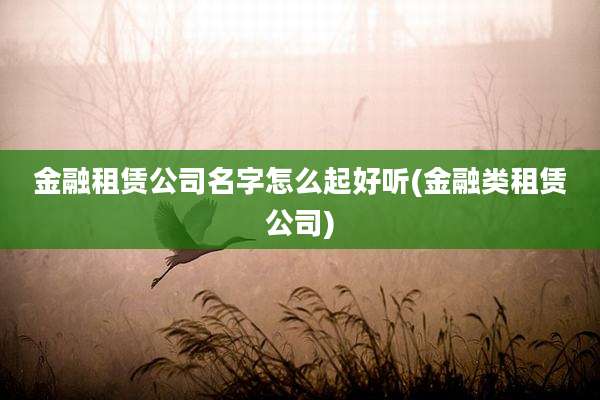金融租赁公司名字怎么起好听(金融类租赁公司)
