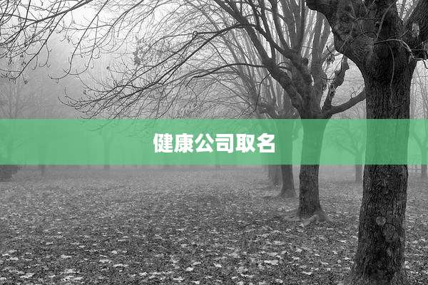 健康公司取名