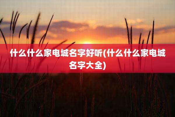 什么什么家电城名字好听(什么什么家电城名字大全)
