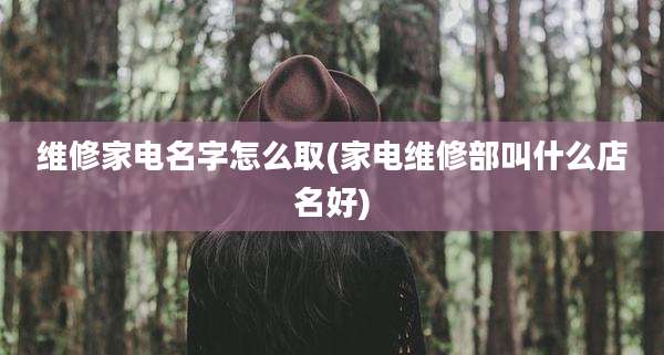 维修家电名字怎么取(家电维修部叫什么店名好)
