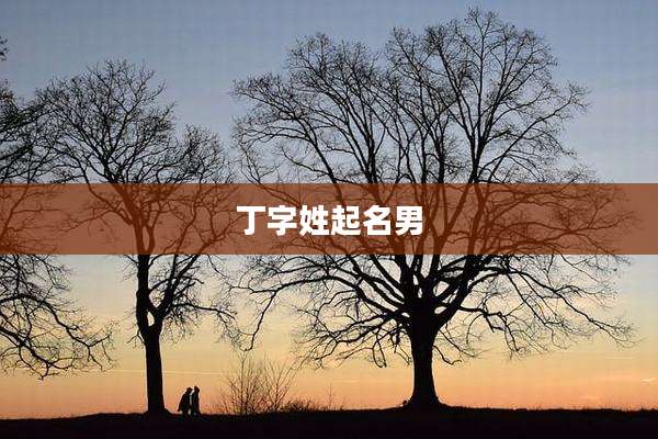 丁字姓起名男
