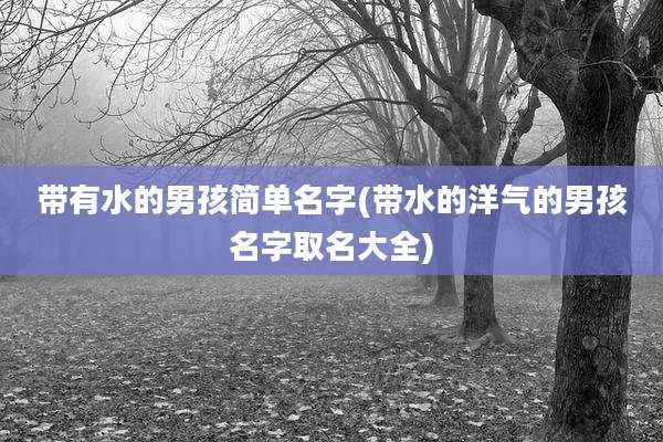 带有水的男孩简单名字(带水的洋气的男孩名字取名大全)