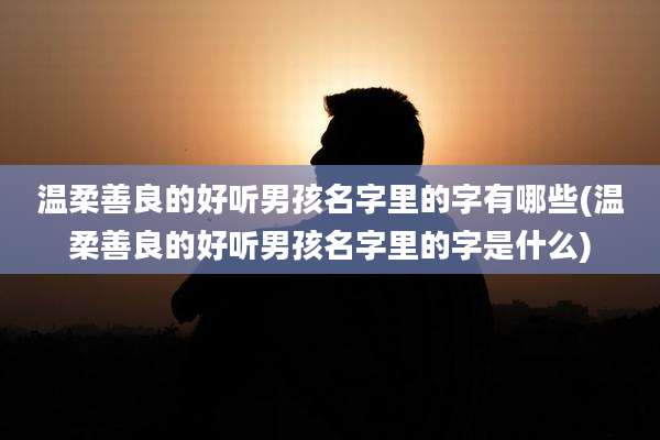 温柔善良的好听男孩名字里的字有哪些(温柔善良的好听男孩名字里的字是什么)