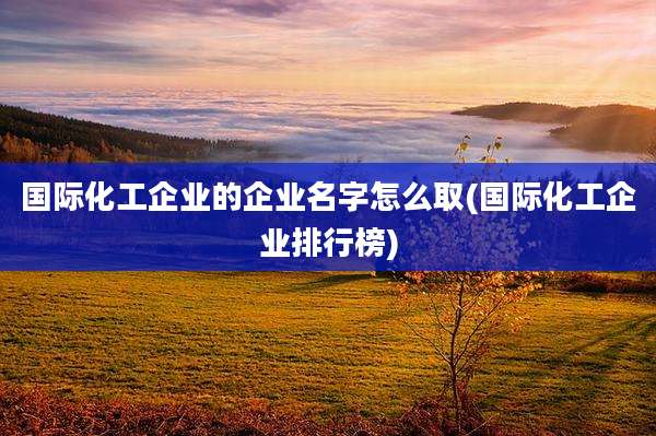 国际化工企业的企业名字怎么取(国际化工企业排行榜)