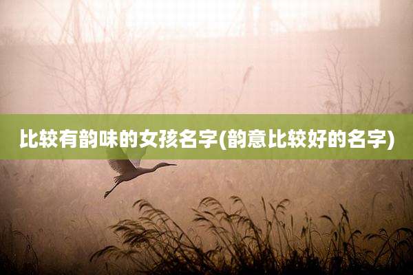 比较有韵味的女孩名字(韵意比较好的名字)
