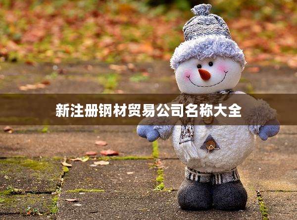 新注册钢材贸易公司名称大全