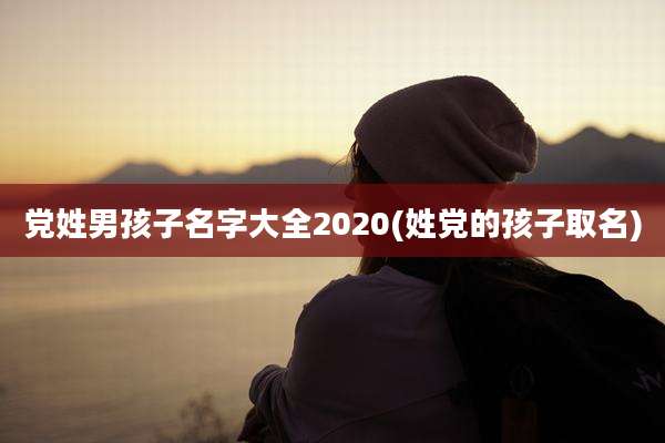 党姓男孩子名字大全2020(姓党的孩子取名)