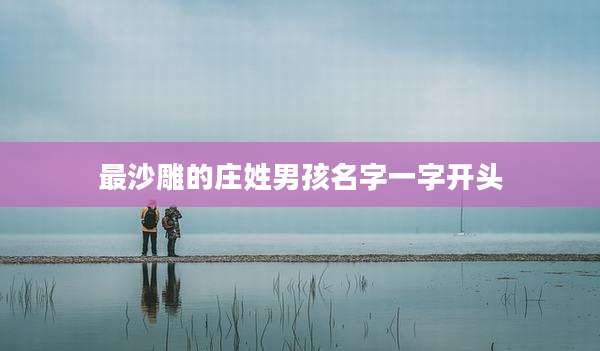 最沙雕的庄姓男孩名字一字开头