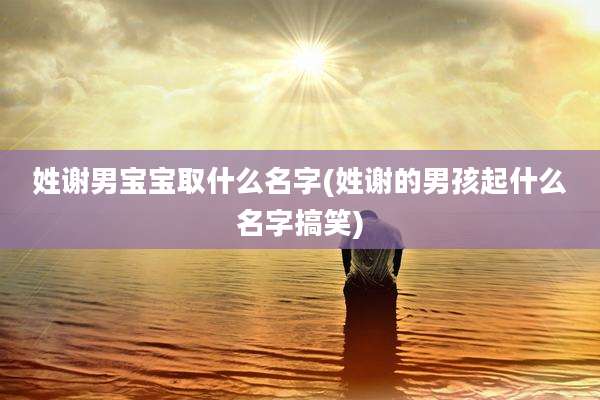 姓谢男宝宝取什么名字(姓谢的男孩起什么名字搞笑)