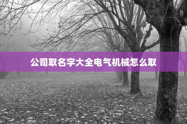 公司取名字大全电气机械怎么取