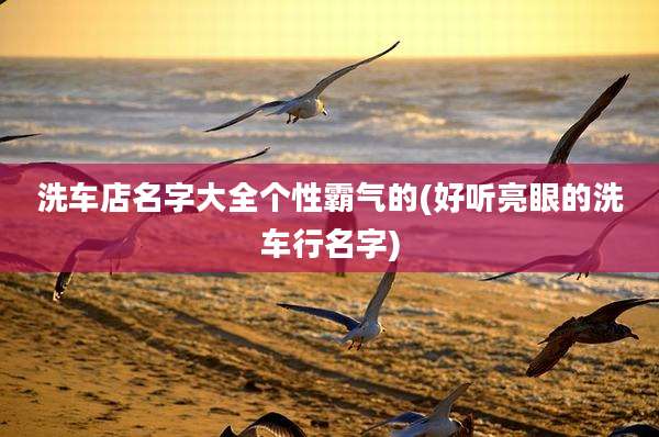 洗车店名字大全个性霸气的(好听亮眼的洗车行名字)