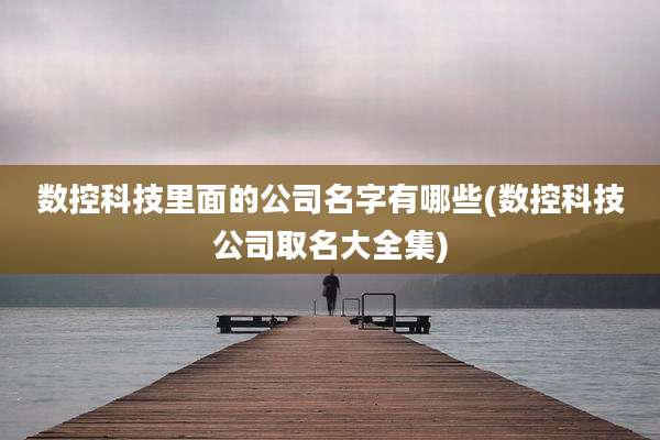 数控科技里面的公司名字有哪些(数控科技公司取名大全集)