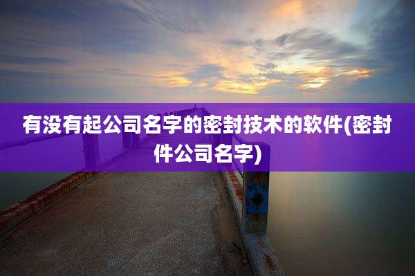 有没有起公司名字的密封技术的软件(密封件公司名字)