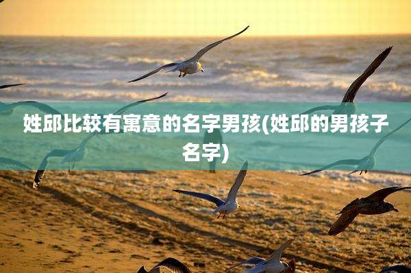 姓邱比较有寓意的名字男孩(姓邱的男孩子名字)