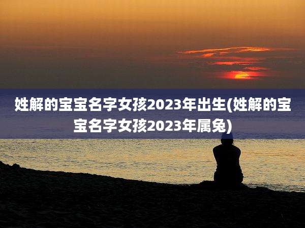 姓解的宝宝名字女孩2023年出生(姓解的宝宝名字女孩2023年属兔)